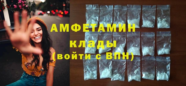 стаф Алзамай