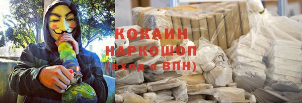 стаф Алзамай