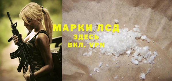 стаф Алзамай